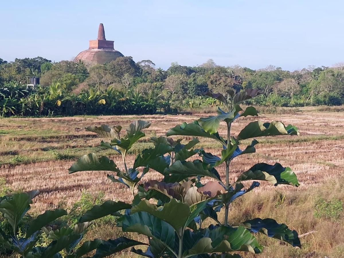 Green Shield Resort Anuradhapura Eksteriør billede