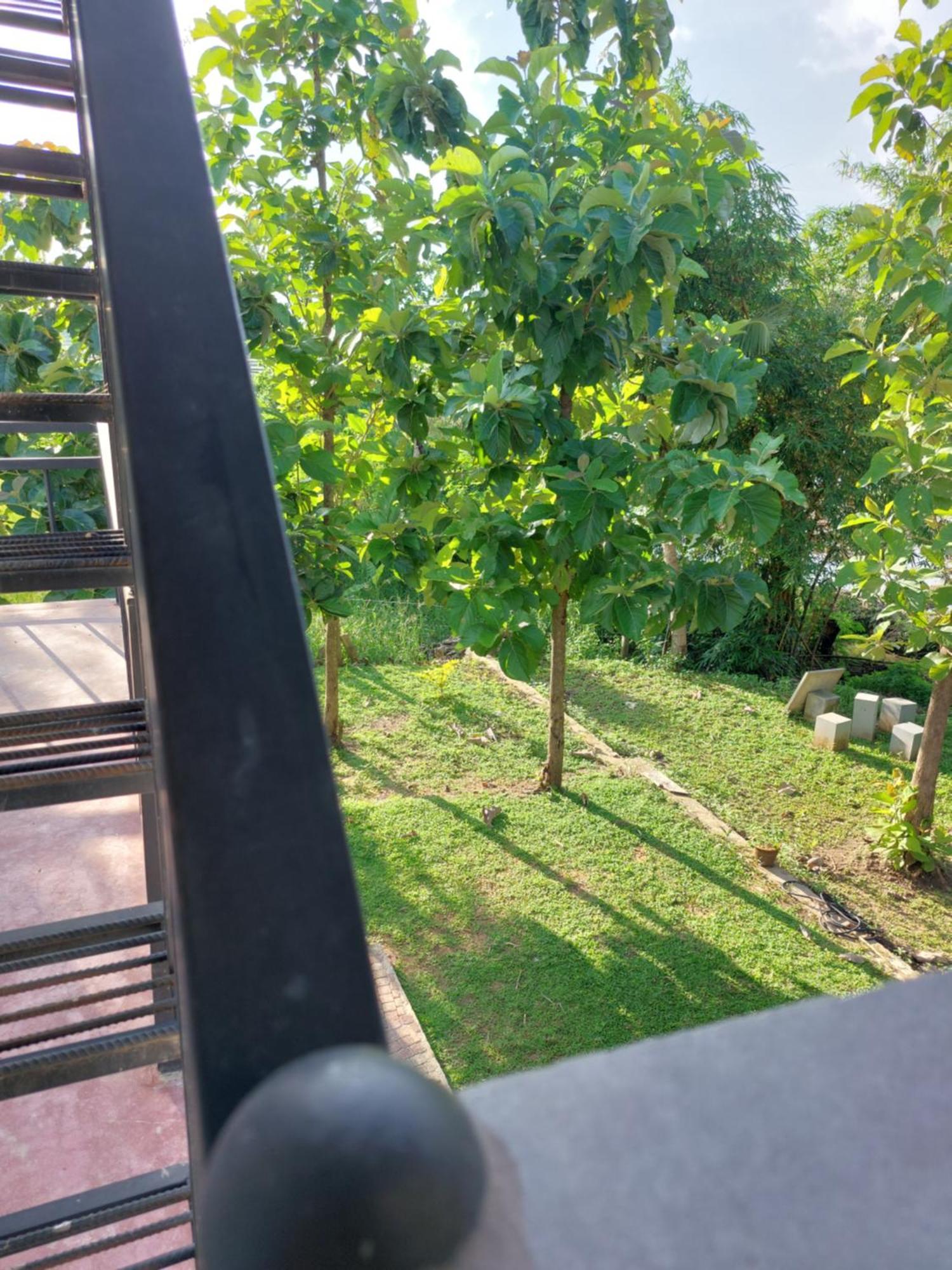 Green Shield Resort Anuradhapura Eksteriør billede