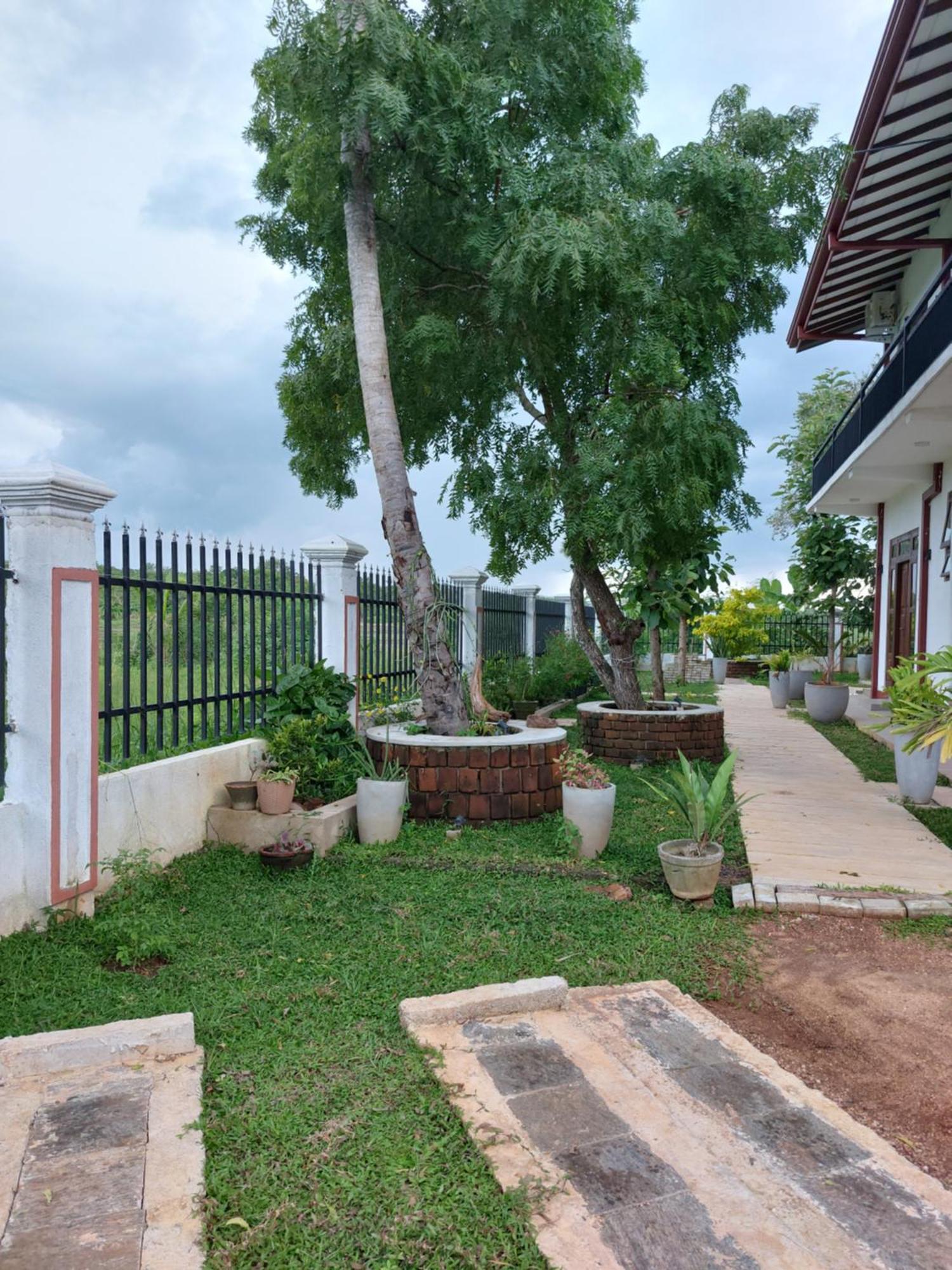 Green Shield Resort Anuradhapura Eksteriør billede