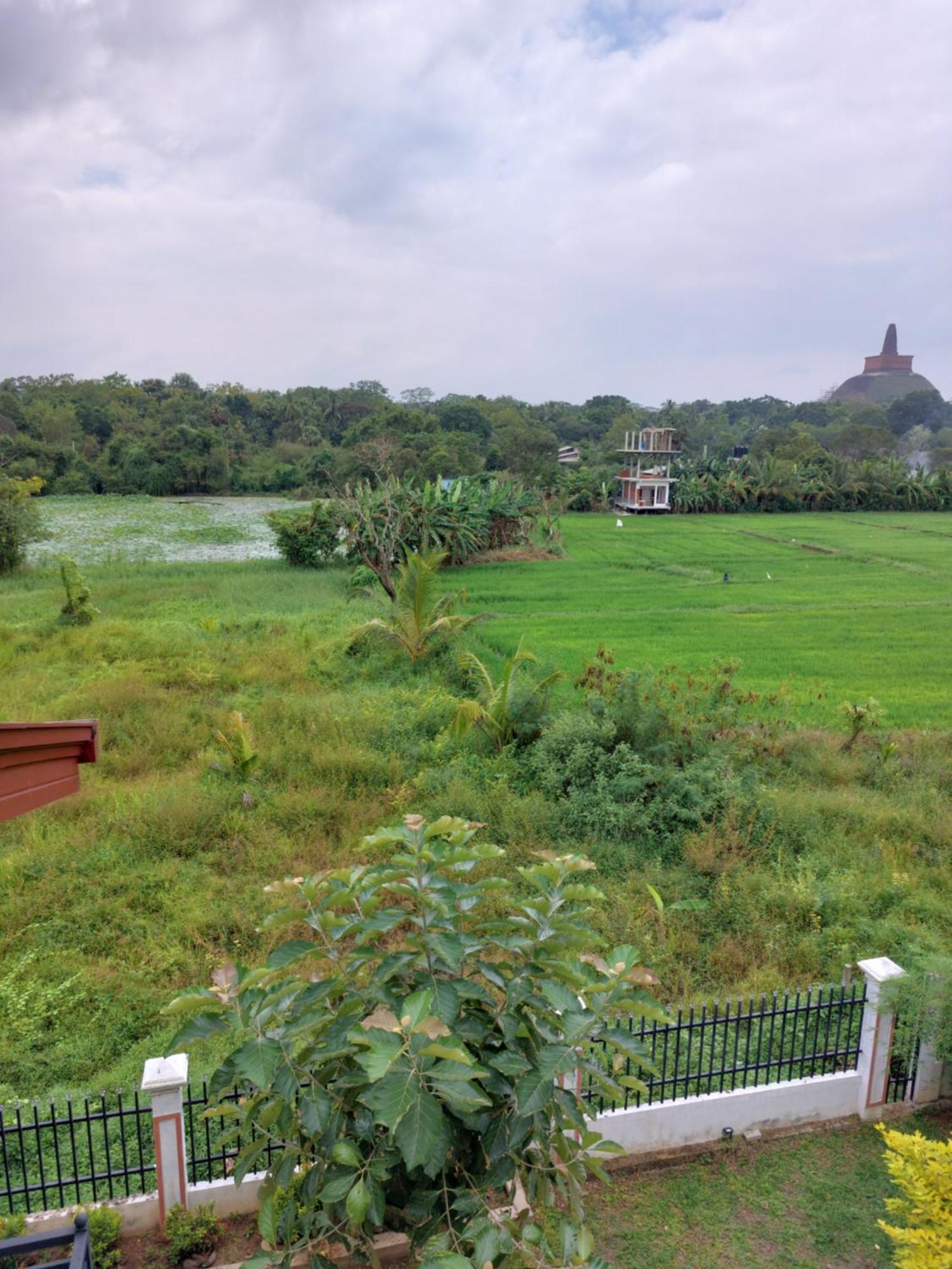 Green Shield Resort Anuradhapura Eksteriør billede