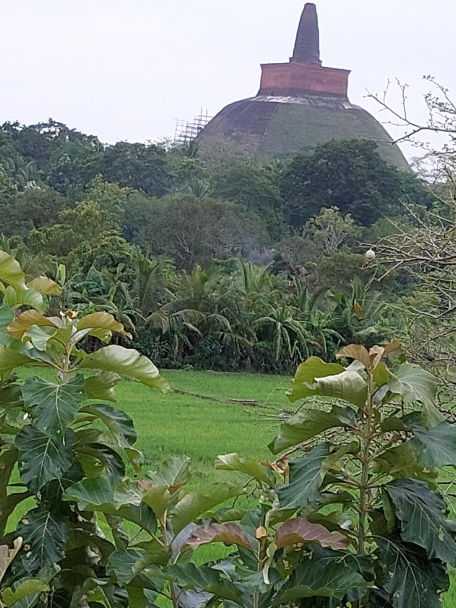 Green Shield Resort Anuradhapura Eksteriør billede