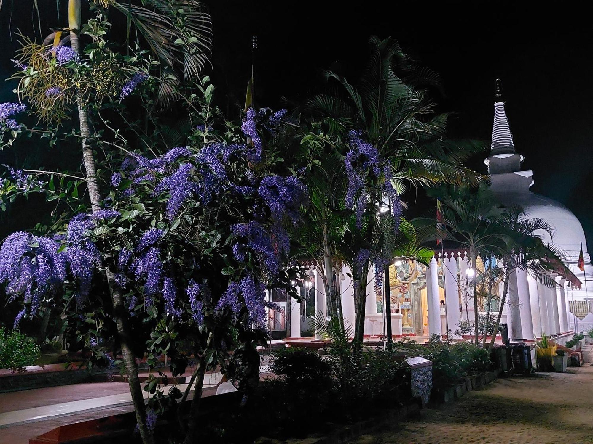 Green Shield Resort Anuradhapura Eksteriør billede