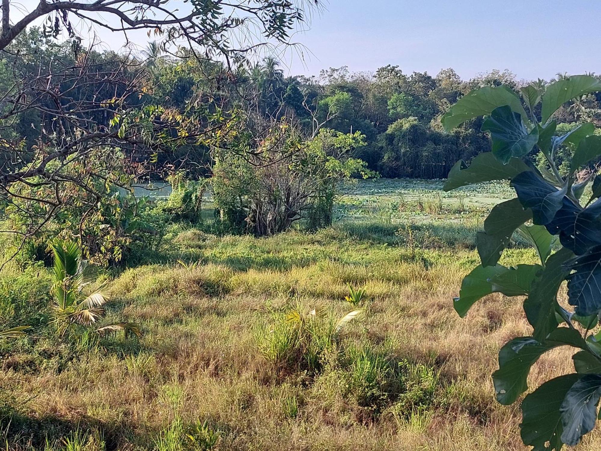 Green Shield Resort Anuradhapura Eksteriør billede