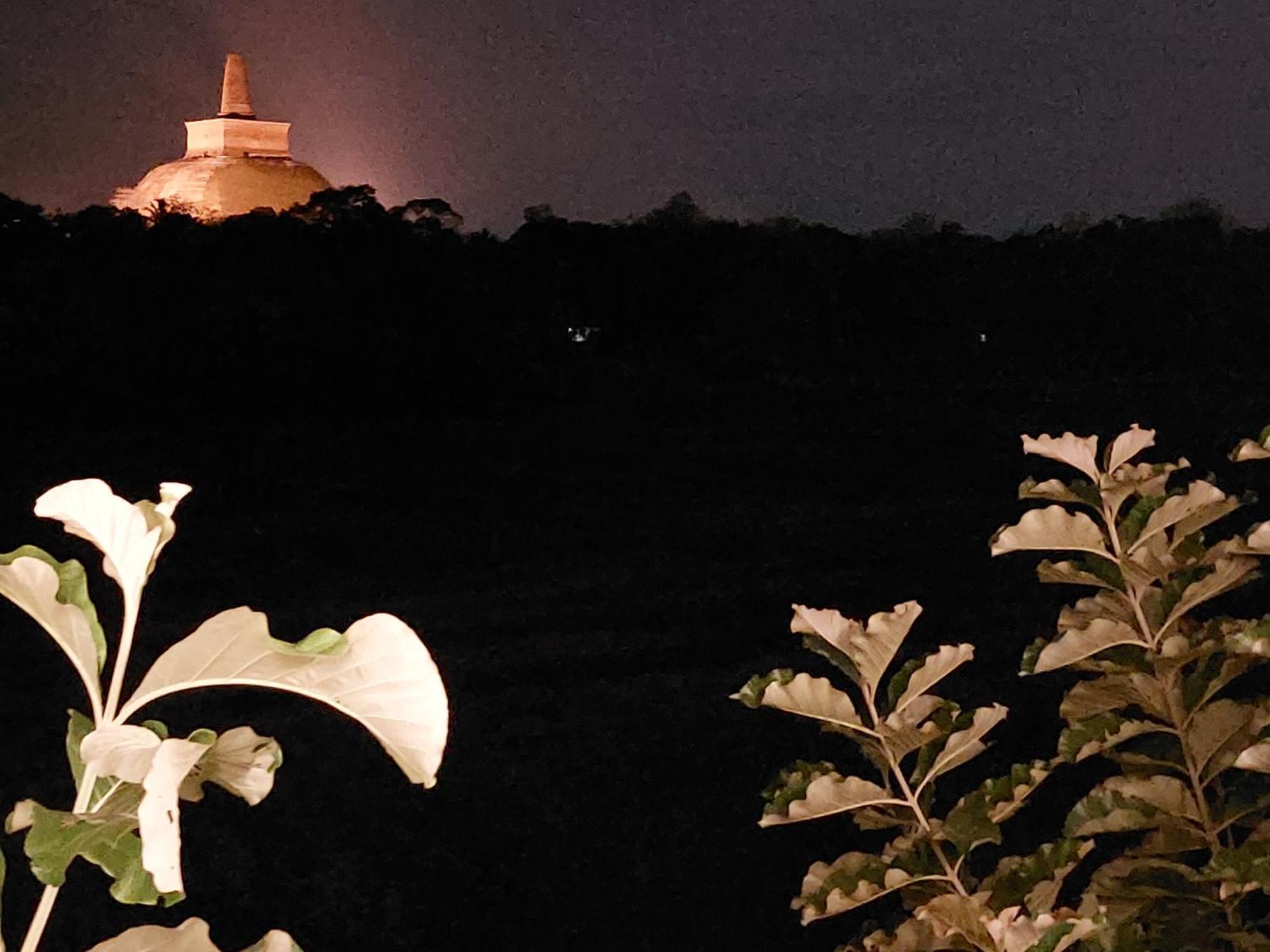 Green Shield Resort Anuradhapura Værelse billede